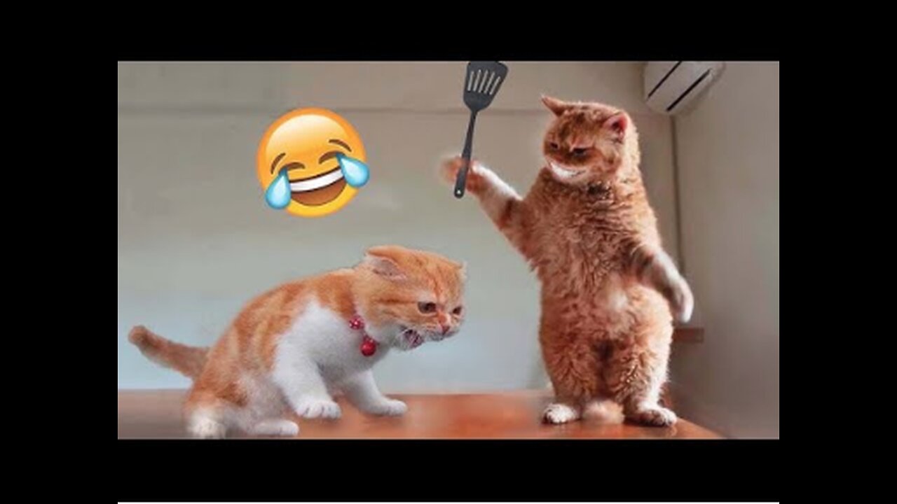 😹#12 Funny Animals/Pets Compilation🤣