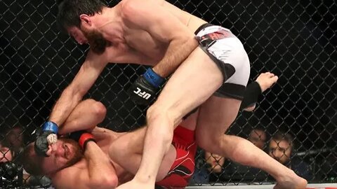 UFC Post 282 breakdown Review.