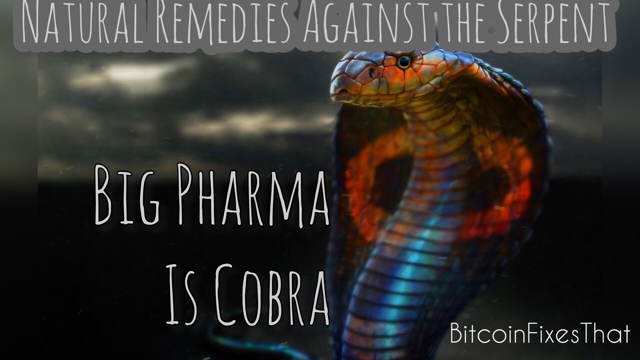 Big Pharma is Cobra - Natural Remedies Against the Serpent With Mike Adams