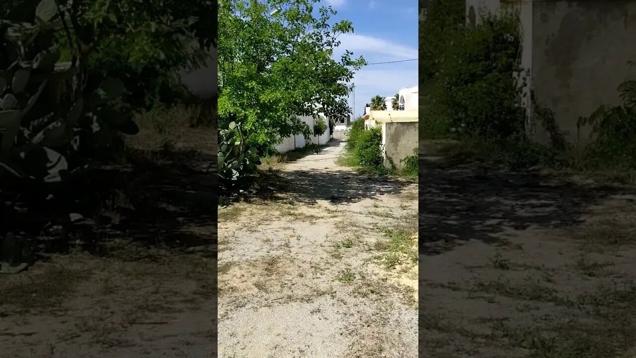 Tunisian Ambience Part 16: Spring Day
