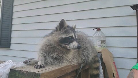 Relaxing on the deck