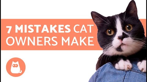 7 MISTAKES THAT CAT 🐈 OWNERS MAKE EVERYDAY