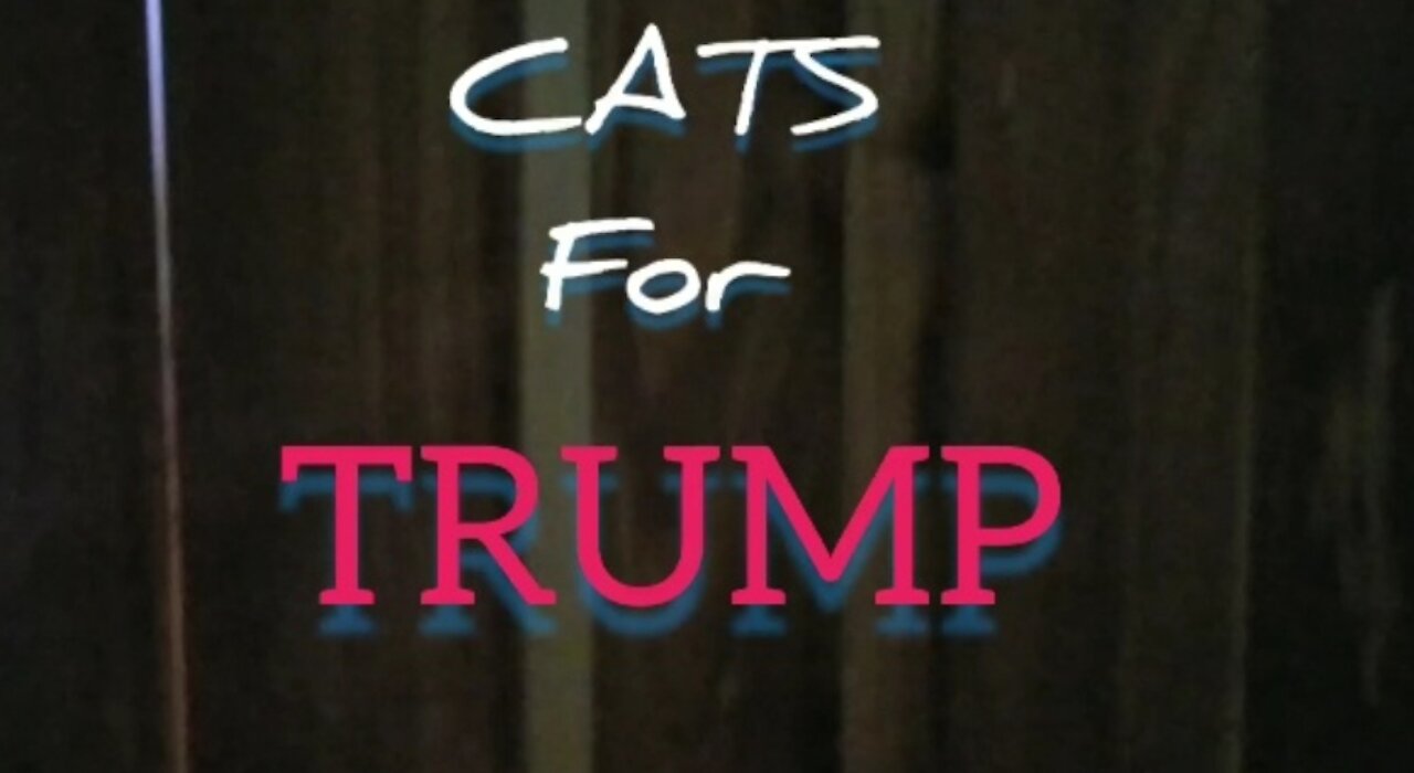 Cats for Trump/The Last Kracker