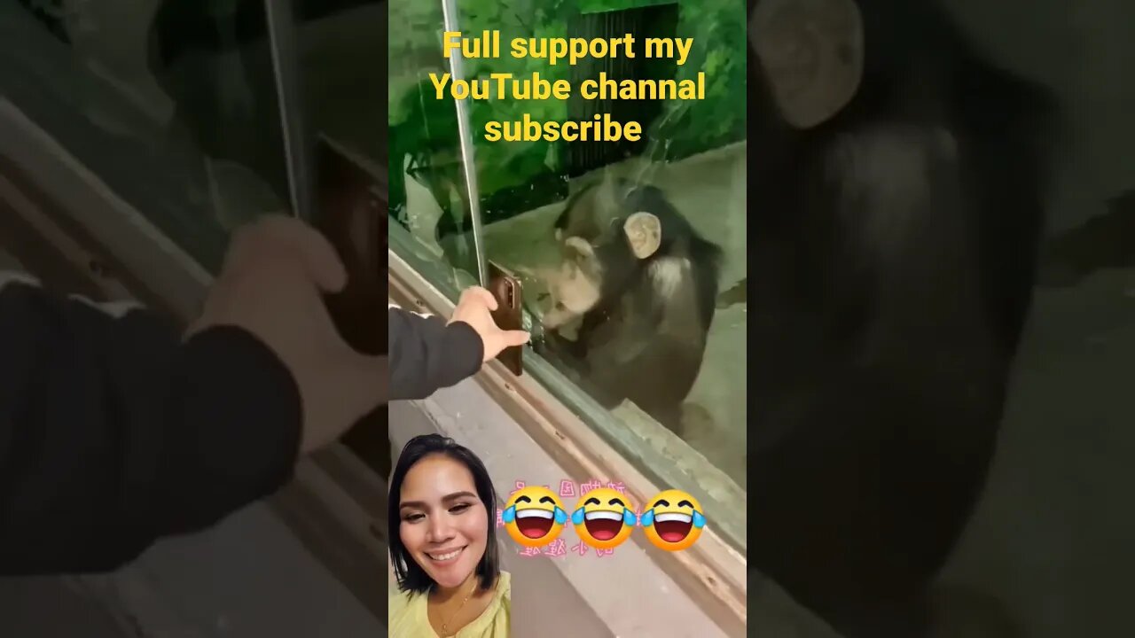 😂😂😂😆 #youtubeshorts #ytshorts #shortsviral #shortvideo #shortsvideo #shortsvideoshorts #status