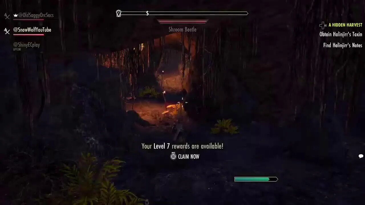 Elder Scrolls Online