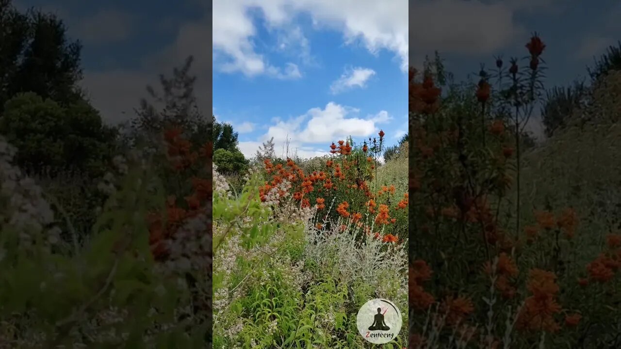 Calm Down and Relax at Quarry Lakes Demonstration Garden