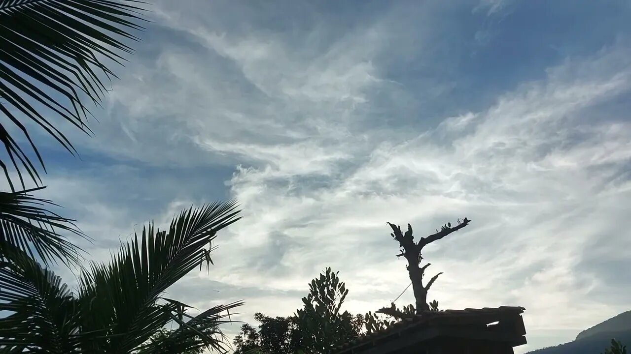 Uma andorinha só não faz verão!