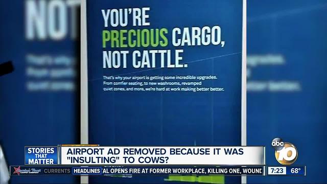 Airport sign insulting to cows?