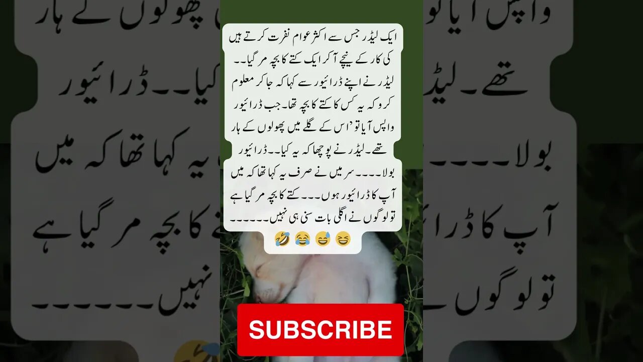 kuttay ka bacha margaya ha | interesting facts | funny quotes | joke in Urdu