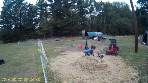 Fall day in the Hay!!