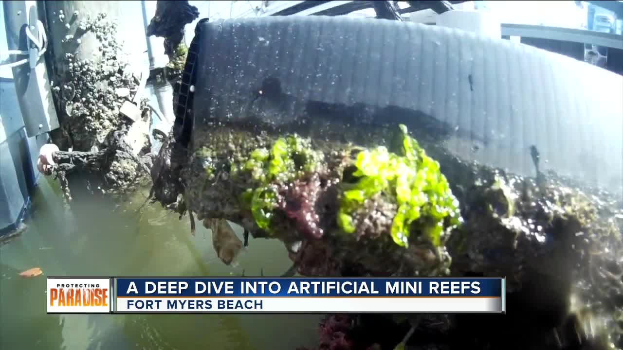 Deep dive into artificial mini reefs