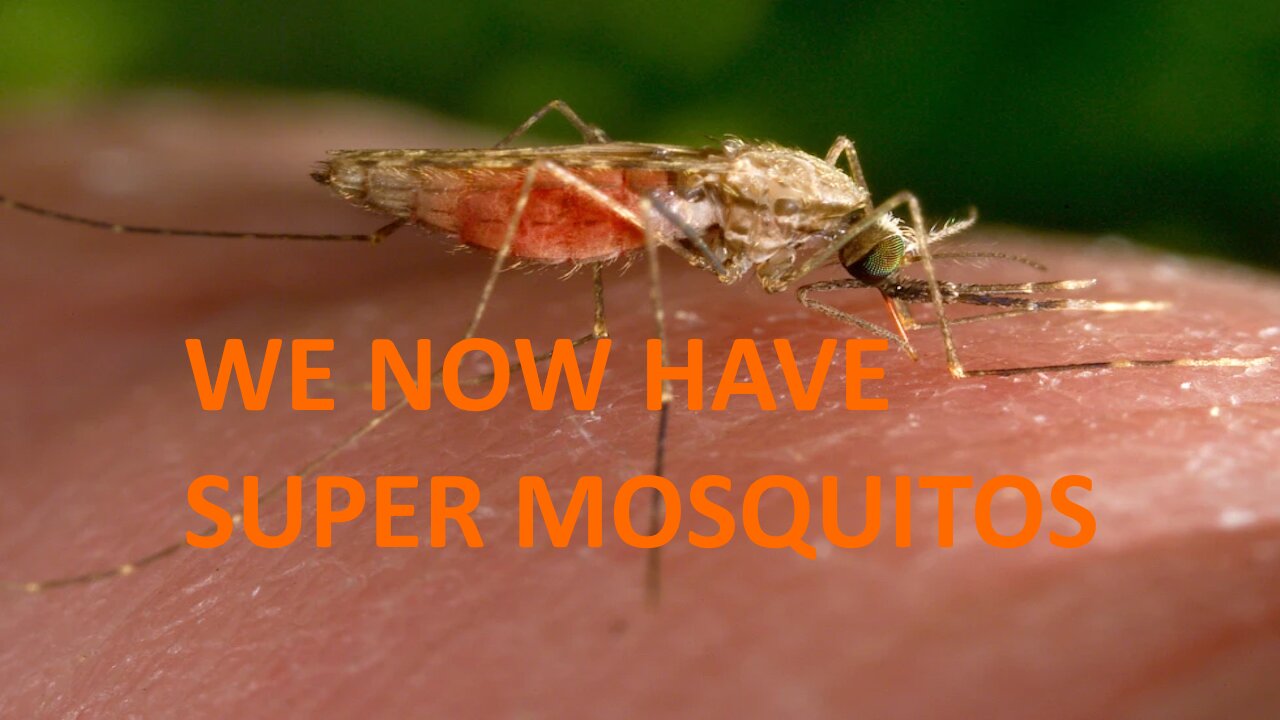 Now Super mosquitos Now?! WTF