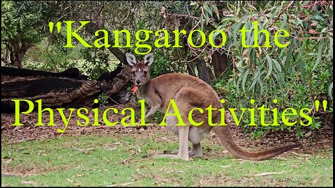 "Kangaroo the Physical Activities"