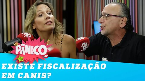 Existe FISCALIZAÇÃO em canis? Luisa Mell e criador de cães respondem