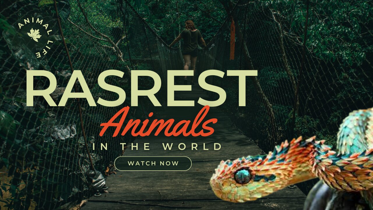 Rarest Animals in the World..!!