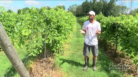 Is Wisconsin the "new wine frontier?"