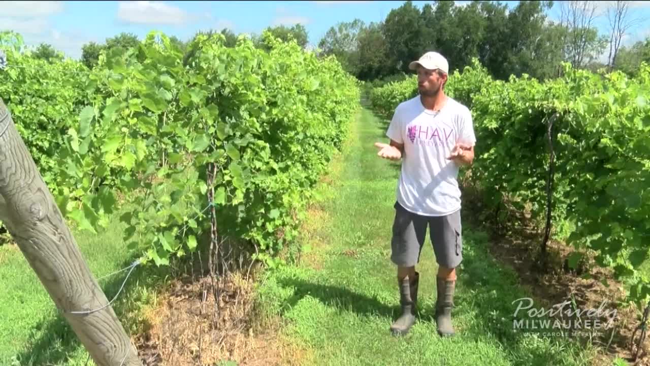 Is Wisconsin the "new wine frontier?"