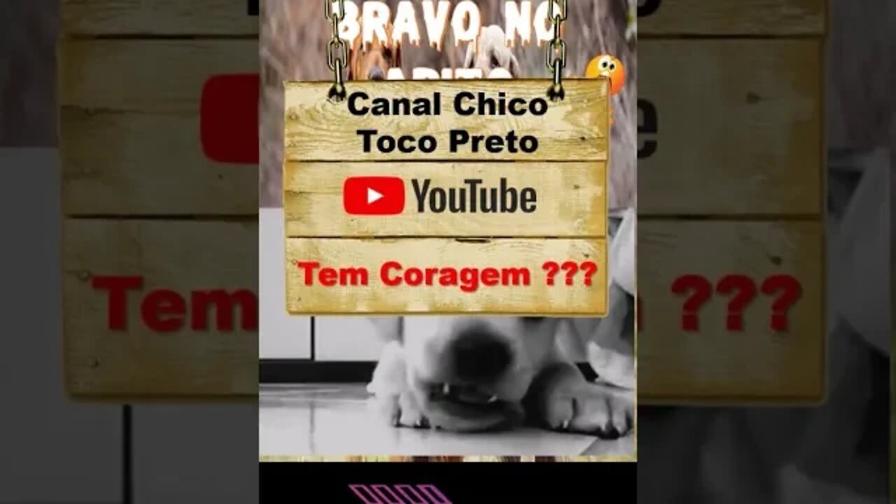Cachorro Bravo no Apito? Mas será que é bom mesmo ? #shorts