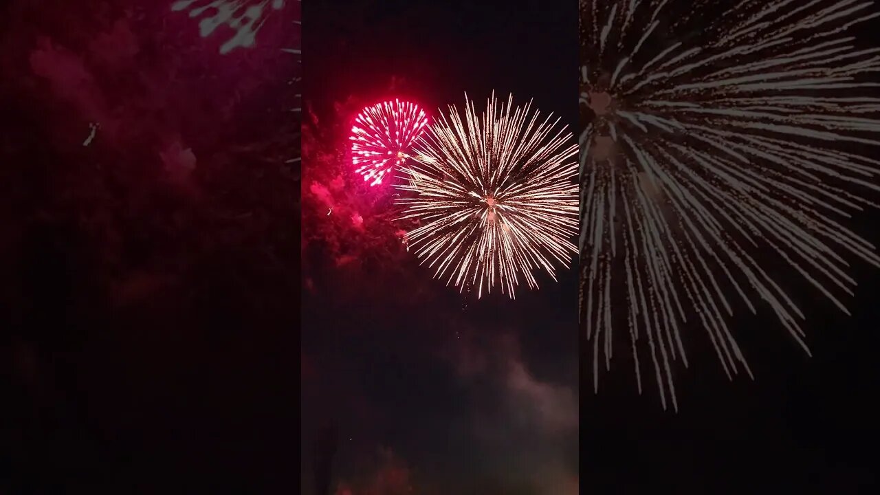 Explosive 4th of July Fireworks Extravaganza 2023 #fireworks #4thofjuly #shorts