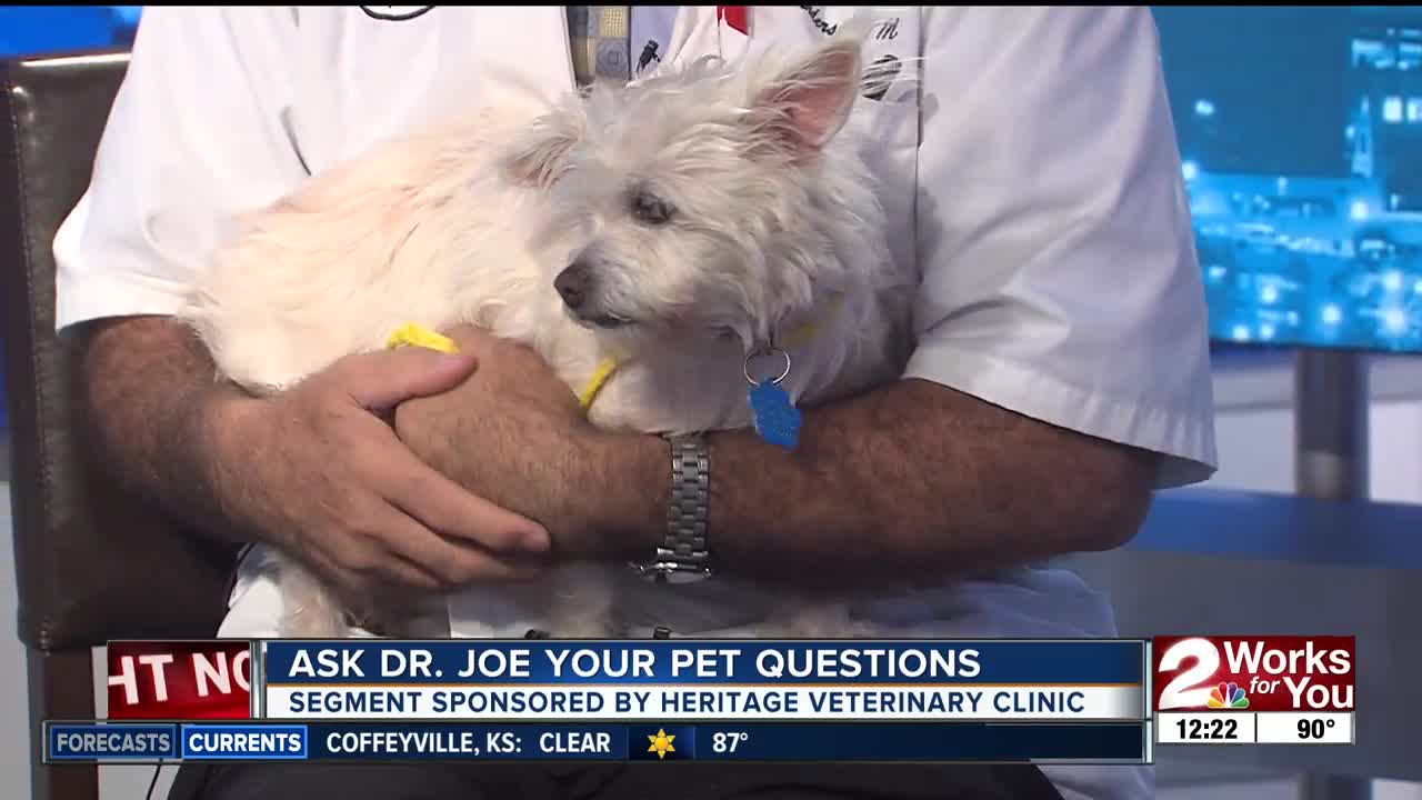 Ask Dr. Joe: Meet Magnolia