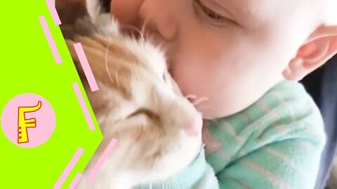 Baby and Cat Fun and Cute - Funny Baby Video