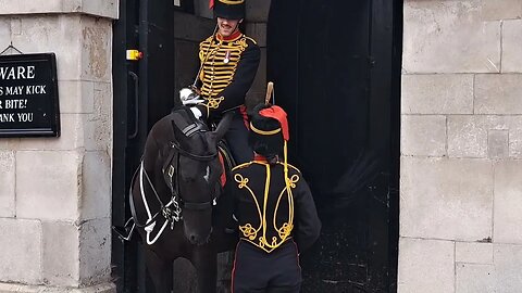 The kings guard tells Off the horse again he tries to bite her wrist #horseguardsparade