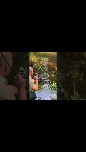 Almost Catching a Lord Trout