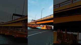 Sunset harbour bridge