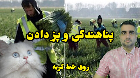 پناهندگی و پز دادن