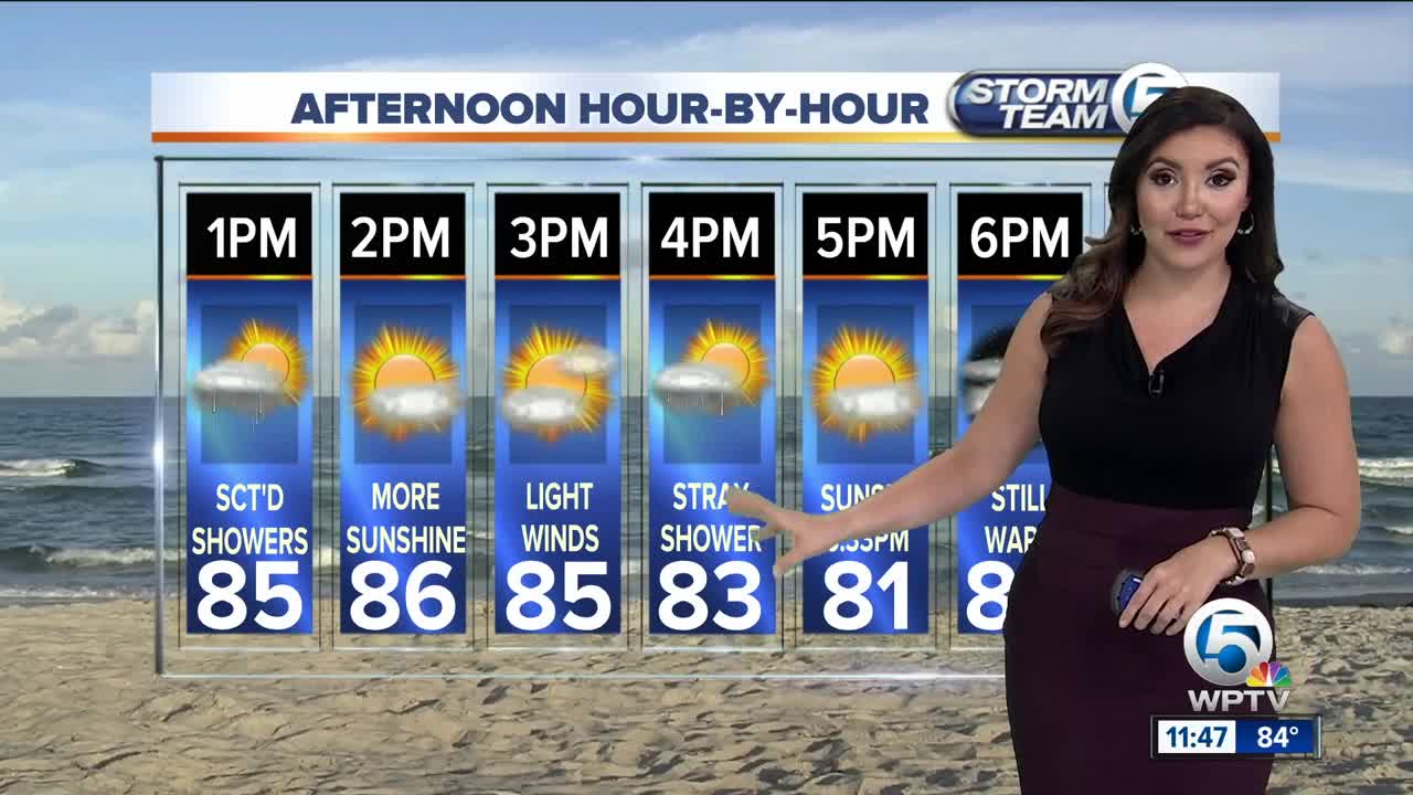 South Florida Thursday afternoon forecast (11/8/18)