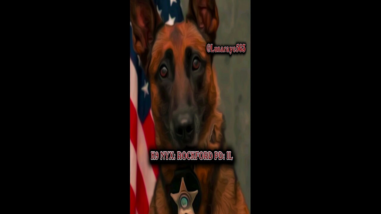 K9 Officer Nyx