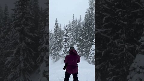 Throwback to sooo much pow!! #splitboarding #snow #jeeplife #snowboarding #wintercamping