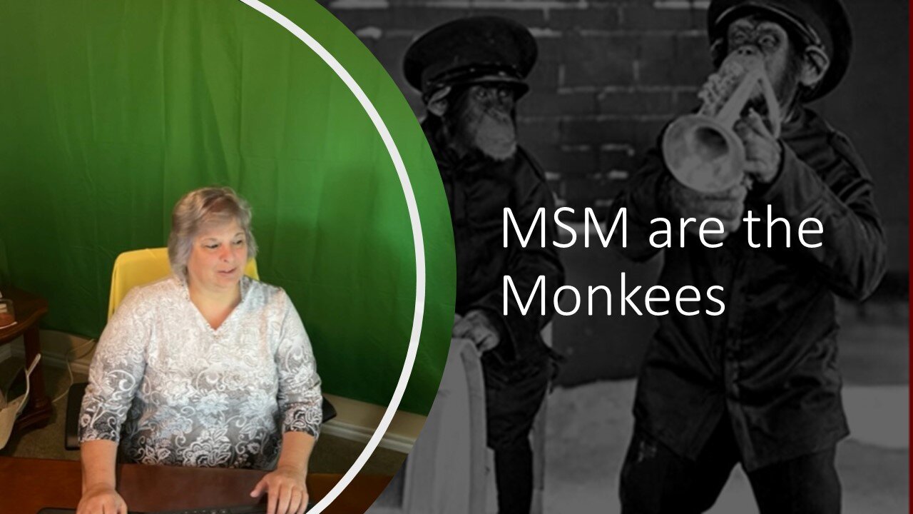 Monkees Exposed as Fake @ NOON