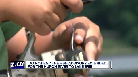 'Do not eat' advisory issued for fish from Huron River within Oakland, Washtenaw counties