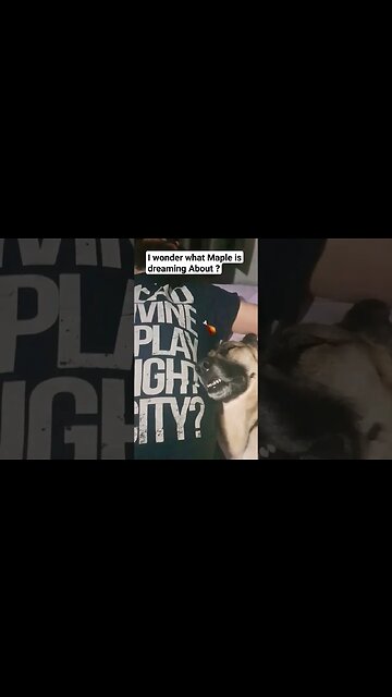 Maples Sleeping Face