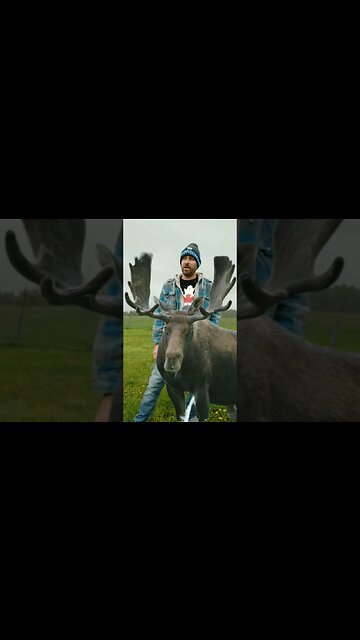 May 2/4 #may24 #comedyskits #canada #skitsbystrangedanimal #ohhighbud