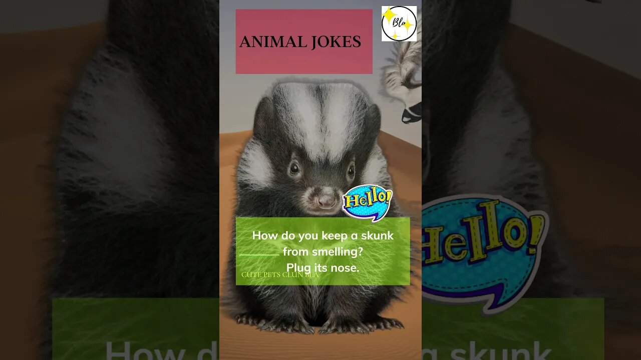 Cute Funny Animal Jokes 21. #puppy #tiktok #dog #cute #jokes #pets #anime #funny #shortvideo #shorts