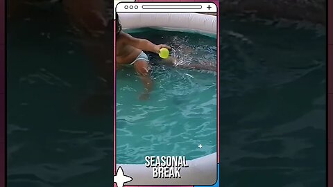 Seasonal Break @@everyone #everyone #shorts