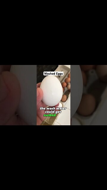 WASHED eggs 🥚 #shorts