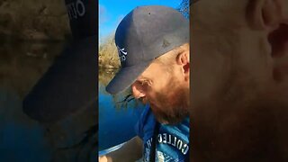 Creek crappie whipping on them