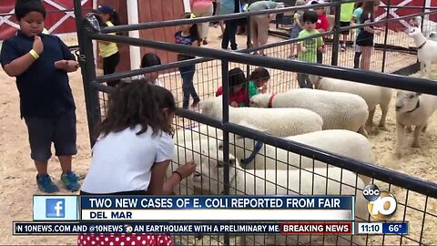 Two new cases of E. Coli reported from fair