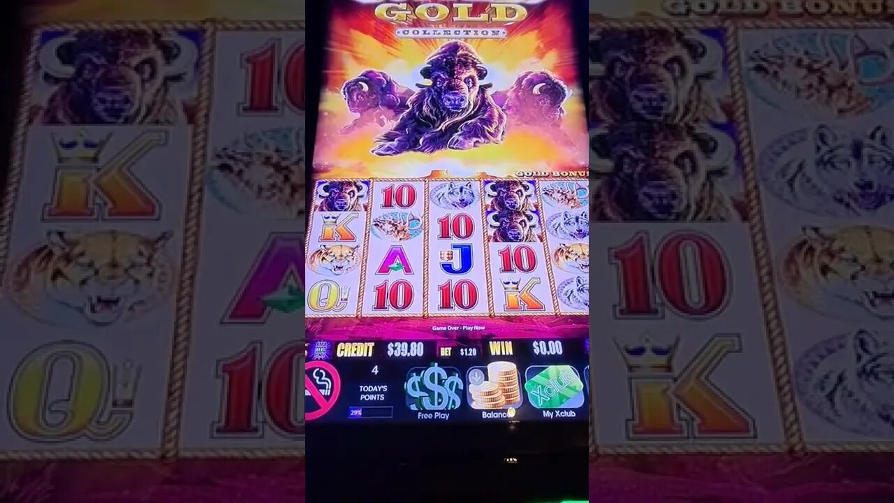 Buffalo Gold Collection (Parx Casino) #shorts, #loud&local
