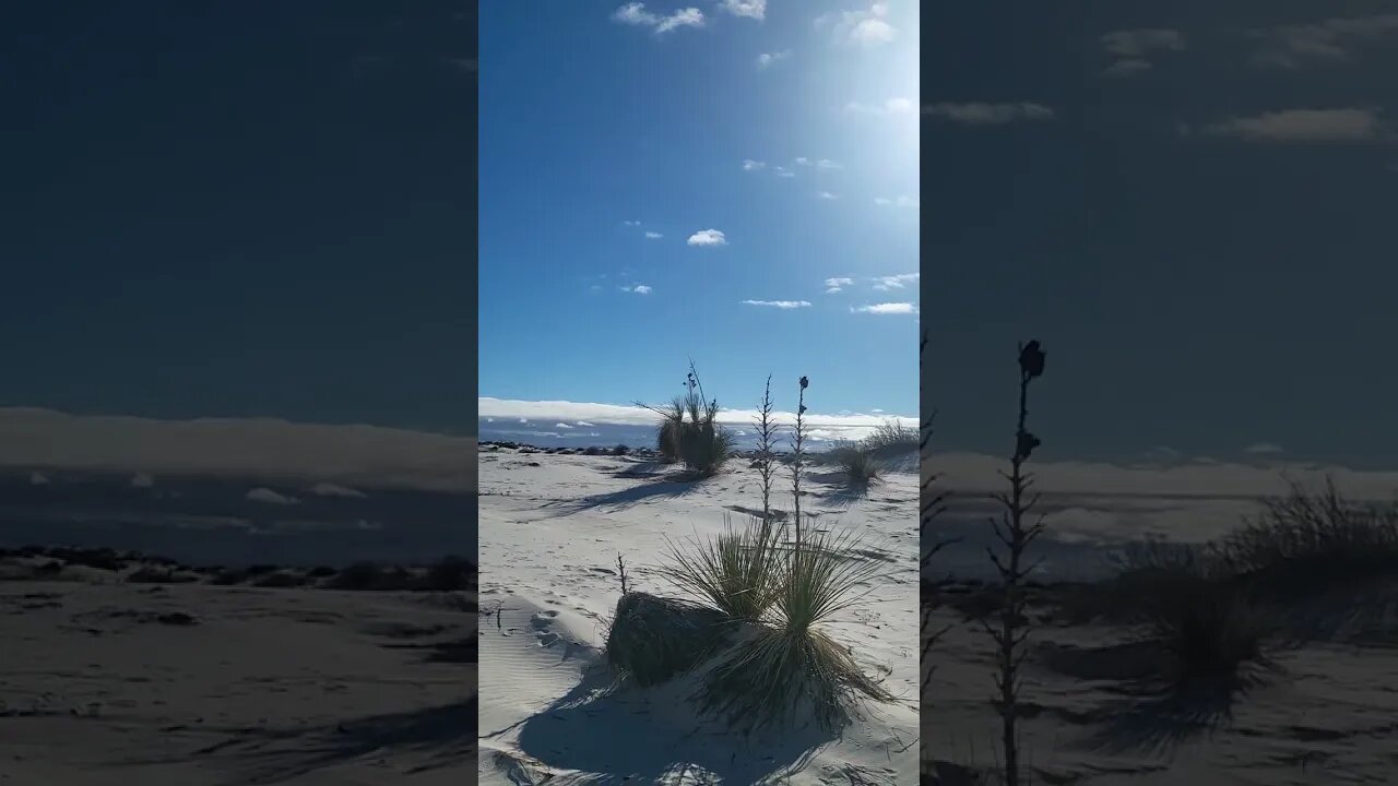 travel log: White Sands New Mexico