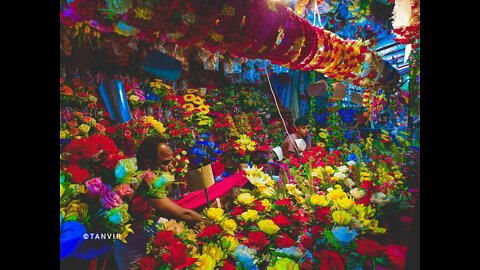 Many Flower, Girls Interesting Collections