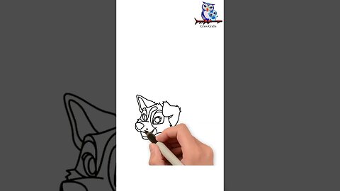 Draw a Cartoon Dog Border Collie #drawing #drawingtutorial #easydraw #cartoondog