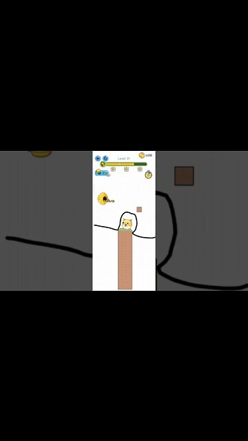 save the doge level 21