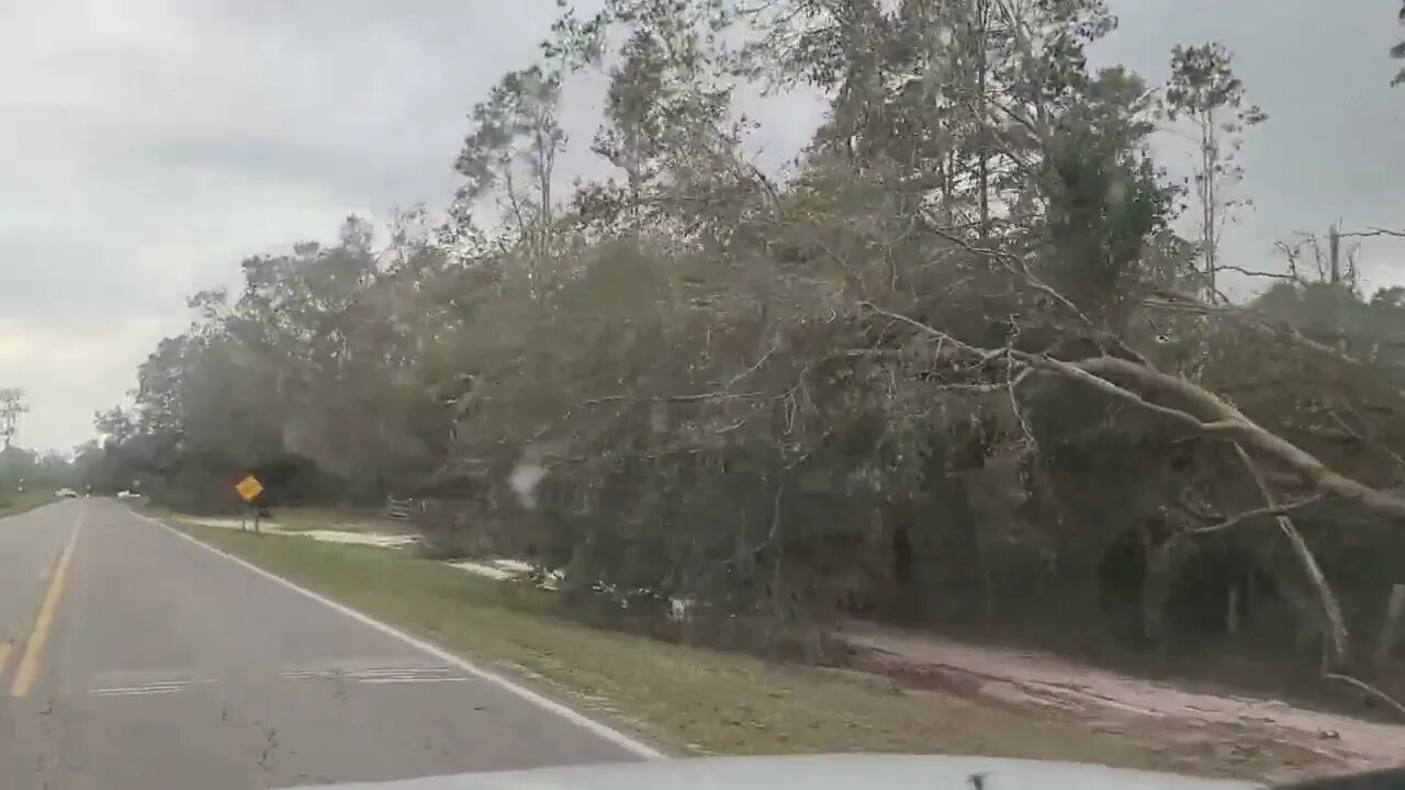 Lafayette County Florida Hurricane Idalia Devastates Area