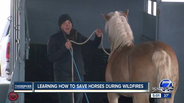 Rural Colorado horse owners training to evacuate their animals in case of a wildfire