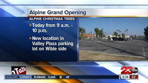 Alpine Christmas Tree lot opening today