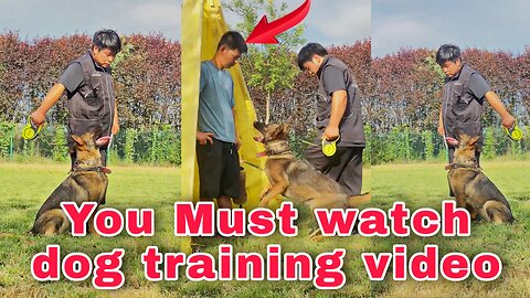 You Most Watch Dog Training Video